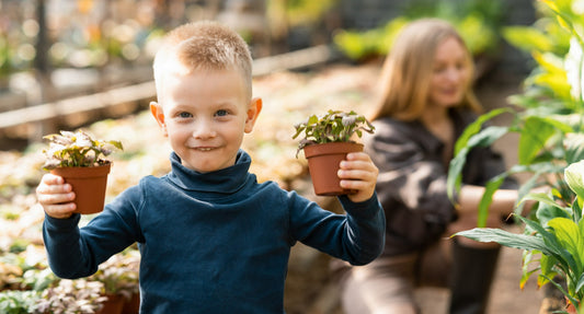 A Journey to Self-Sustainability