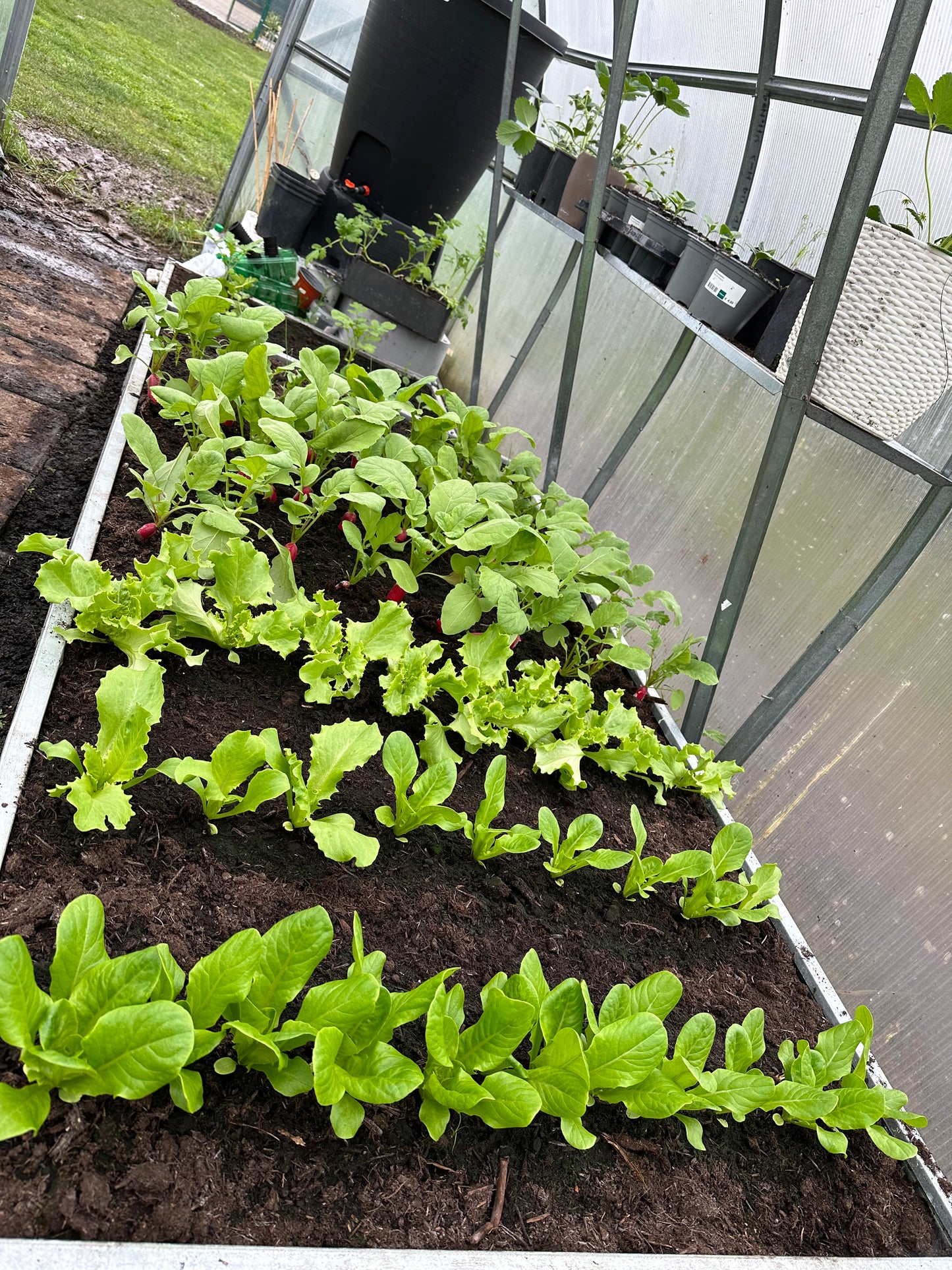 GREENHOUSE SOIL and COMPOST MIX bulk bag