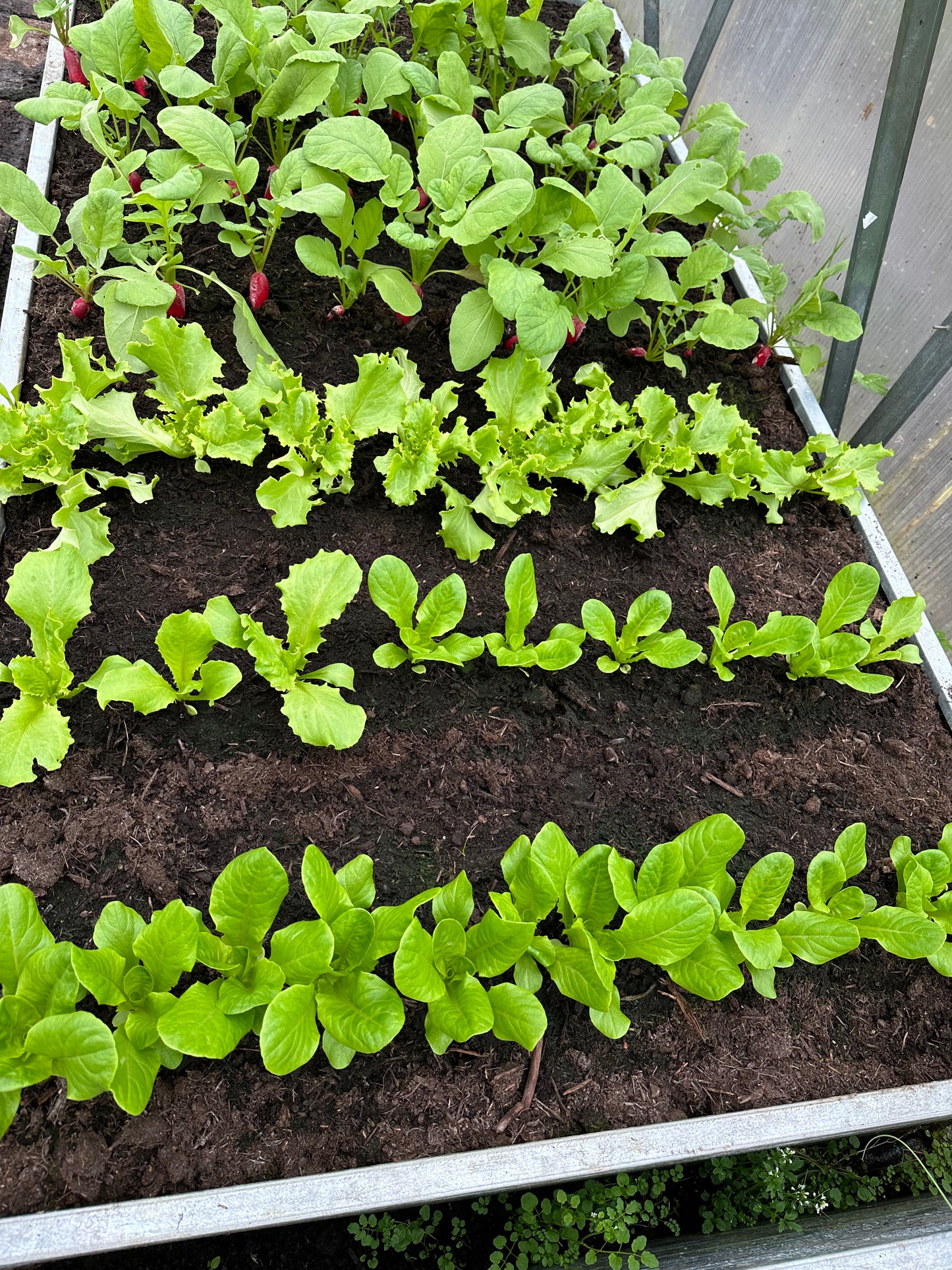 GREENHOUSE SOIL and COMPOST MIX bulk bag