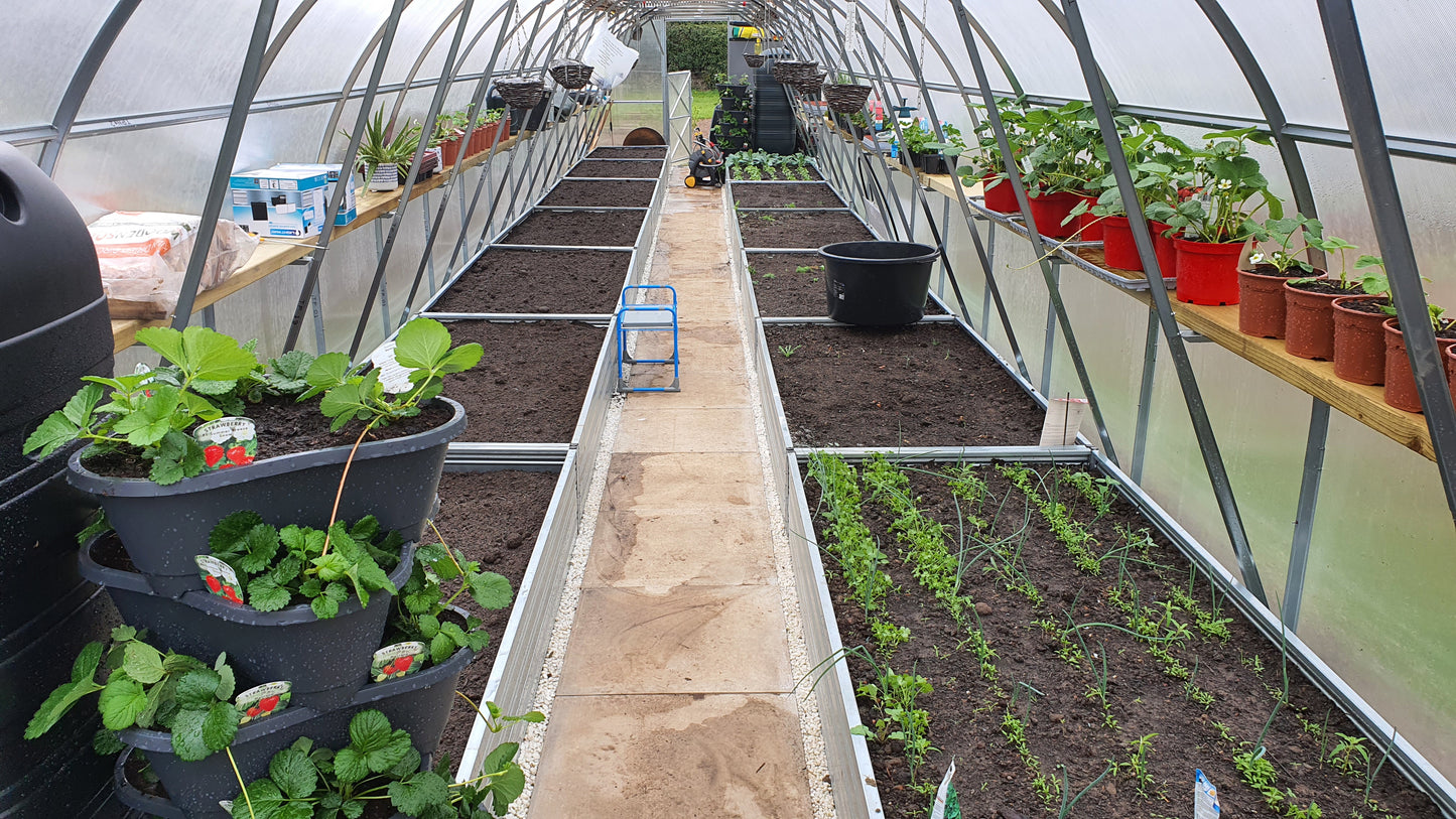 GREENHOUSE STRONG 30 M² (3M X 10M; 9.8FT X 33FT)