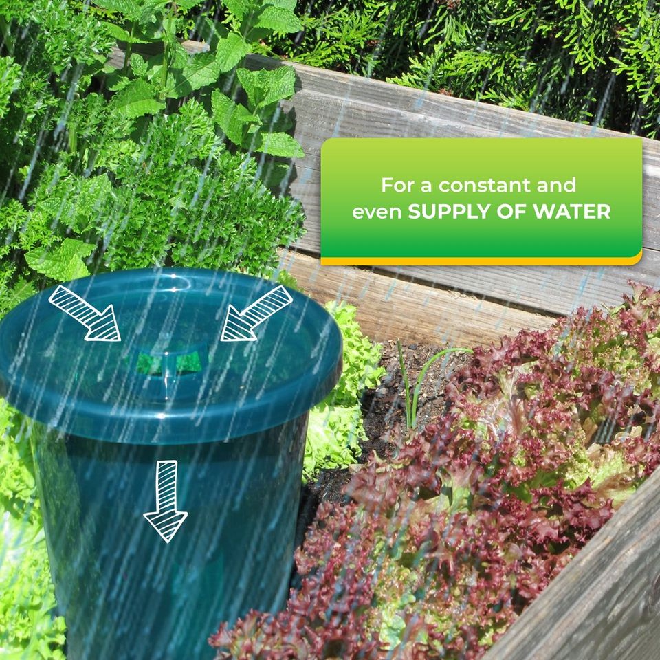 Hydro Cup 4+4 Top Cup + Watering Stake