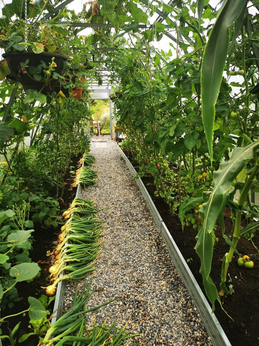GREENHOUSE ARROW-3, 12M² (3M X 4M; 9.8FT X 13FT)
