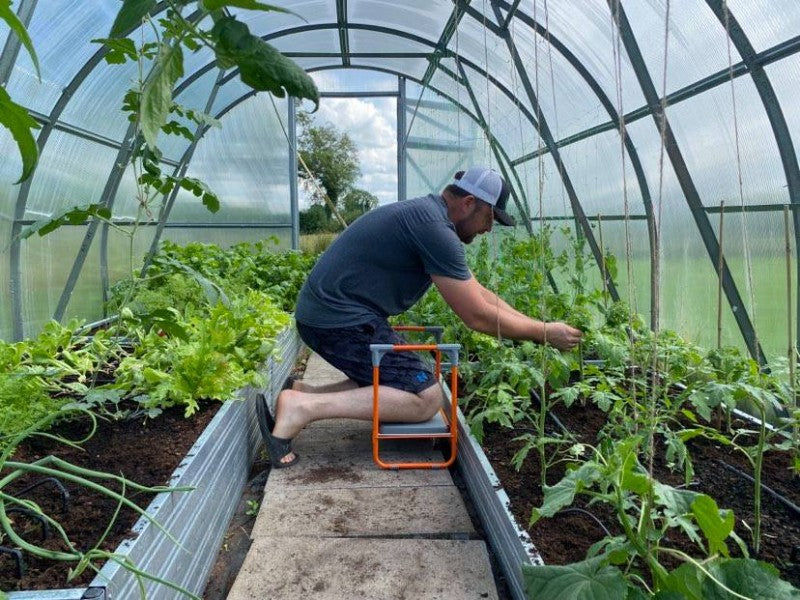 GREENHOUSE BENCH 2IN1 GREEN