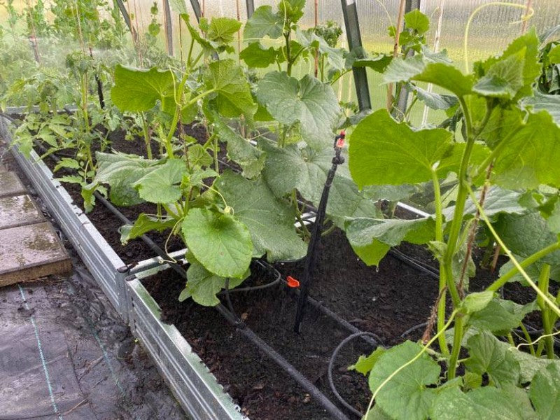 IRRIGATION SYSTEM "SPRINKLER"