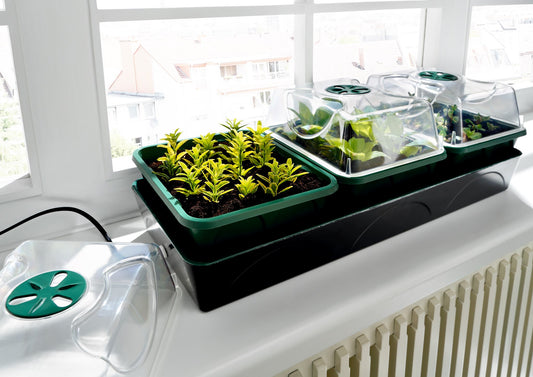 'Hollandia' Propagator with Electric Window Sill Propagator