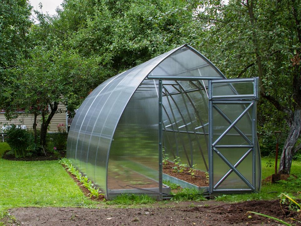 GREENHOUSE ARROW, 15.6 M² (2.6M X 6M; 8.5FT X 19.6FT)