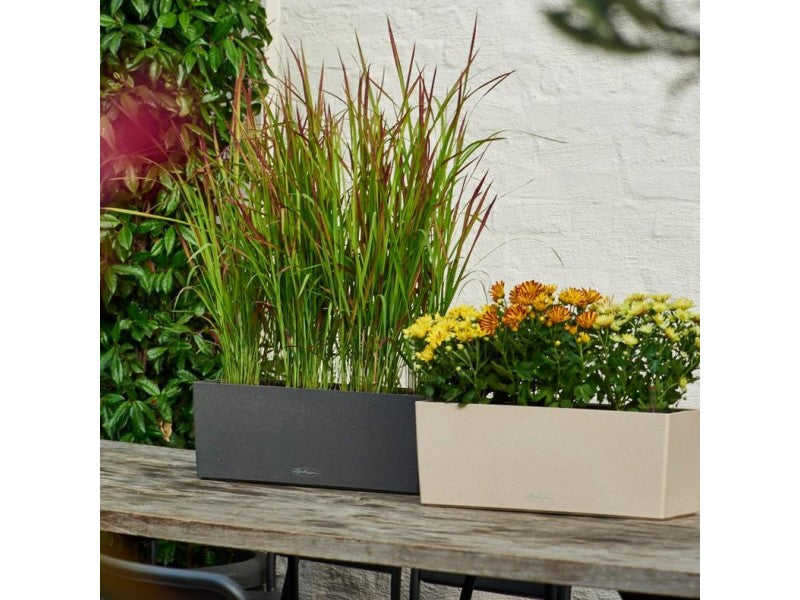 LECHUZA BALCONERA STONE 50 GRAPHITE BLACK