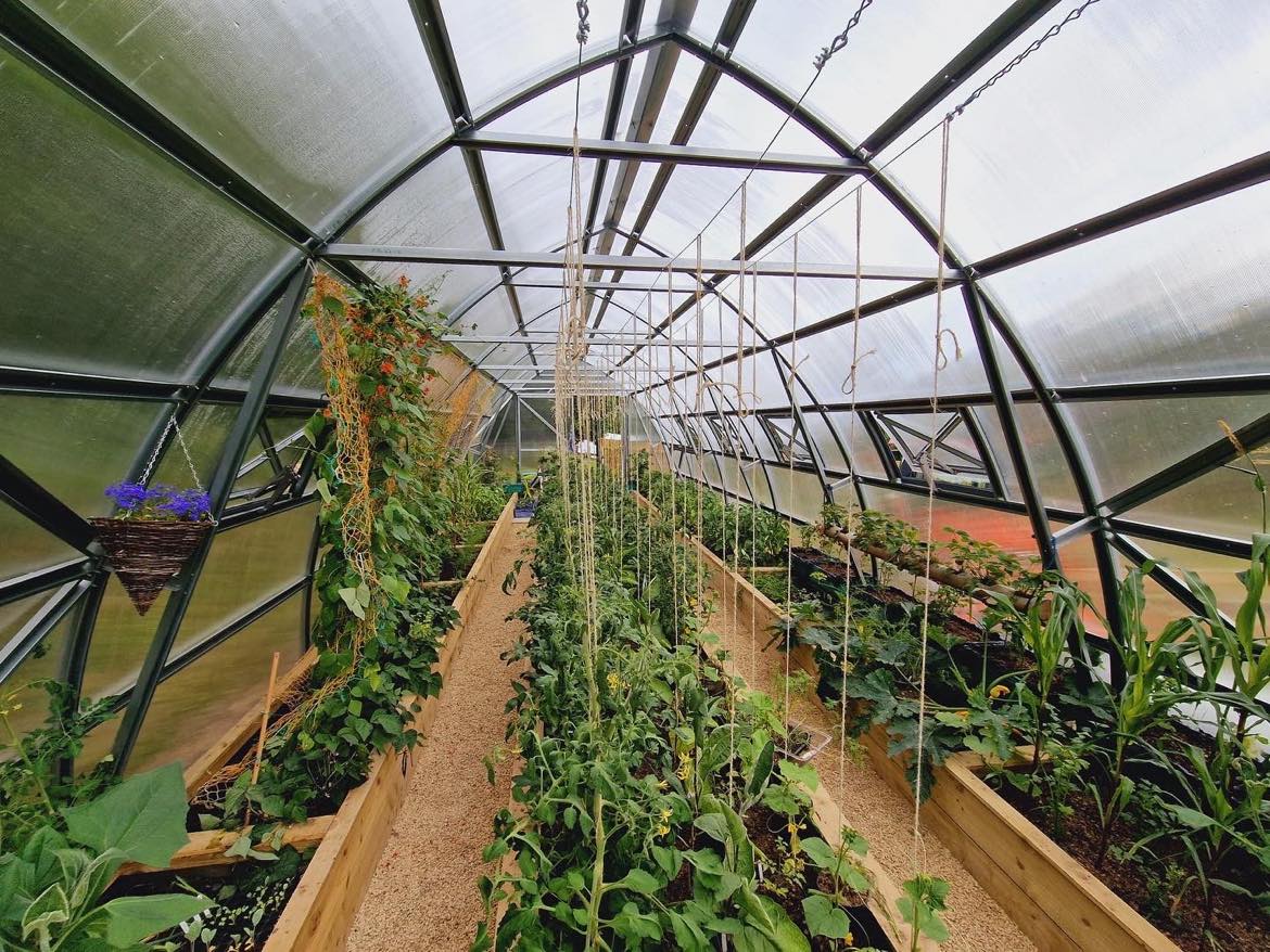 FARMER 5 (21M² - 5M X 4.2M; 16.4FT X 13.8FT)