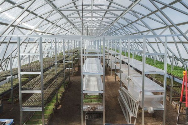 FARMER 7.5 (95.25M² - 7.5M X 12.7M; 24.6FT X 41.7FT)
