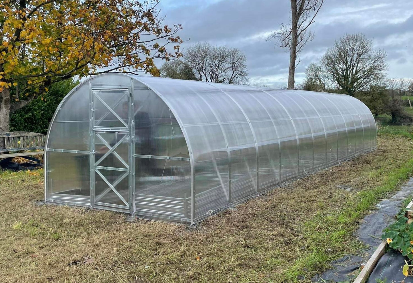 NEW 2021 GREENHOUSE STRONG 36 M² (3M X 12M; 9.8FT X 39.4FT)