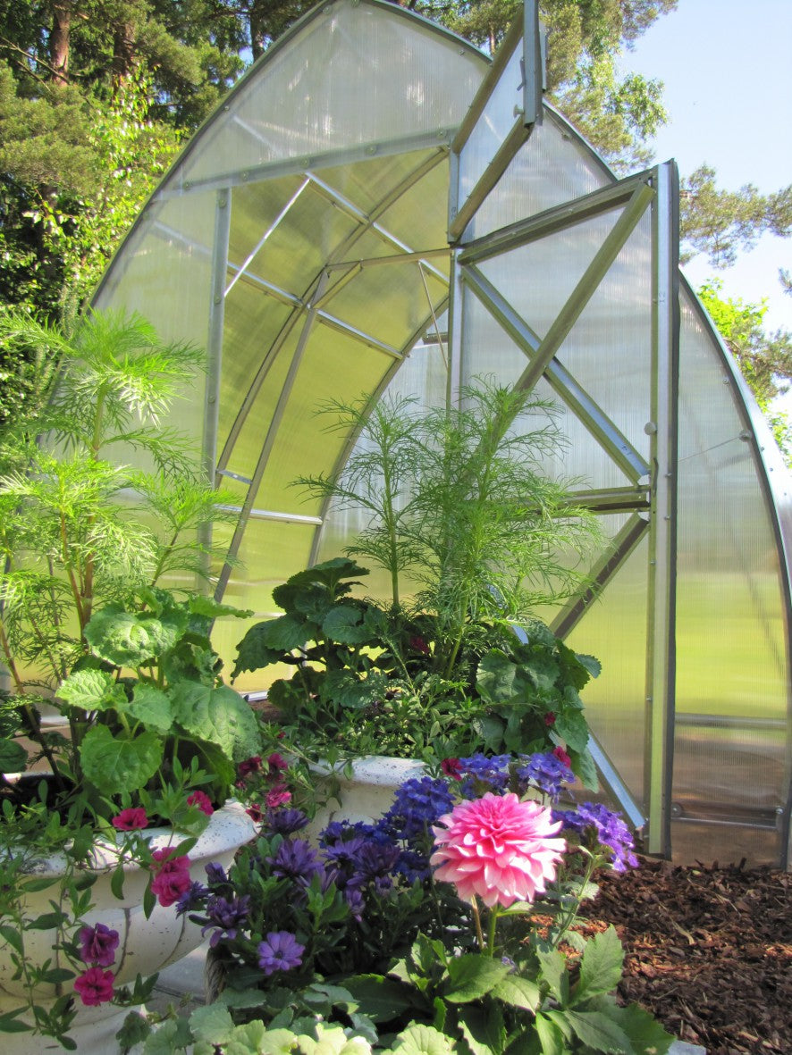 GREENHOUSE ARROW, 5.2 M² (2.6M X 2M; 8.5FT X 6.5FT)