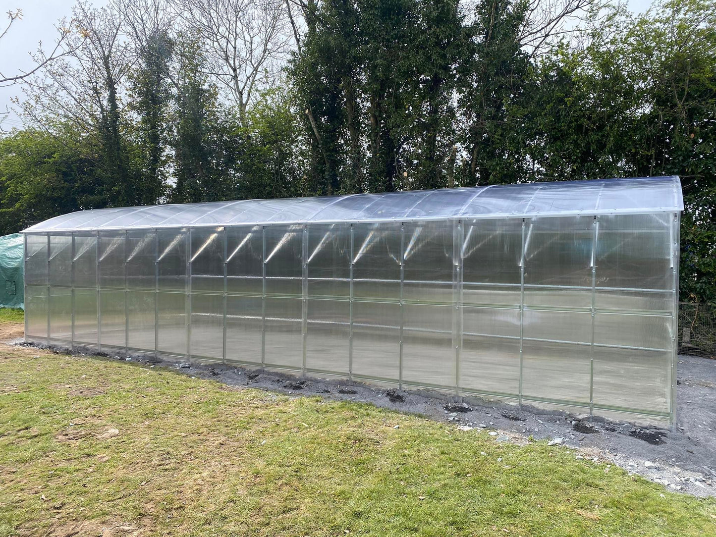 GREENHOUSE PRIMA-4 40 M² (4M X 10M; 13FT X 33FT)/ 6mm
