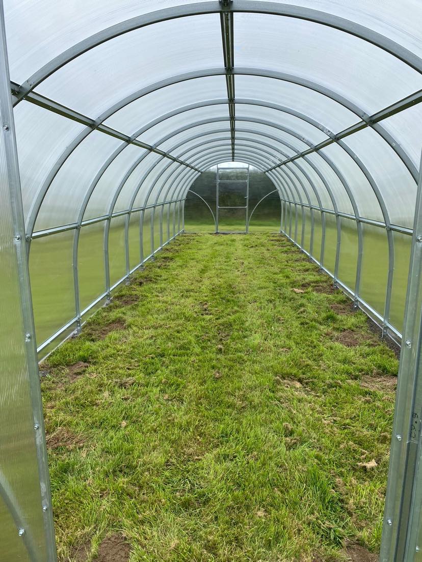 GREENHOUSE SIGMA 18 M² (3M X 6M; 9.8FT X 19.6FT)