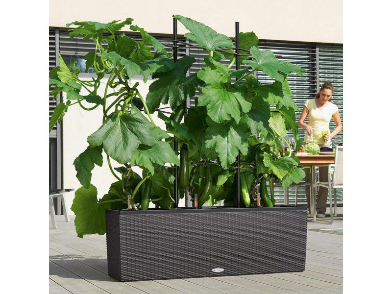 LECHUZA TRELLIS FOR TRIO 30