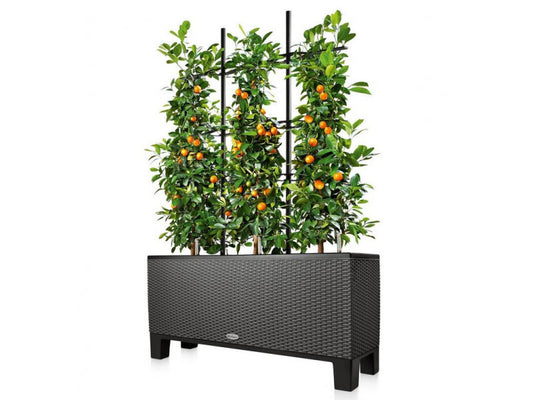 LECHUZA TRELLIS FOR TRIO 30