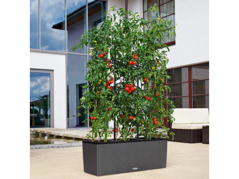 LECHUZA TRELLIS FOR TRIO 30