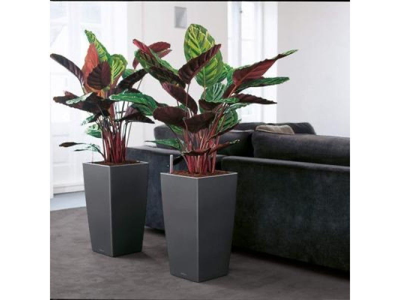 LECHUZA CUBICO 40 CHARCOAL METALLIC