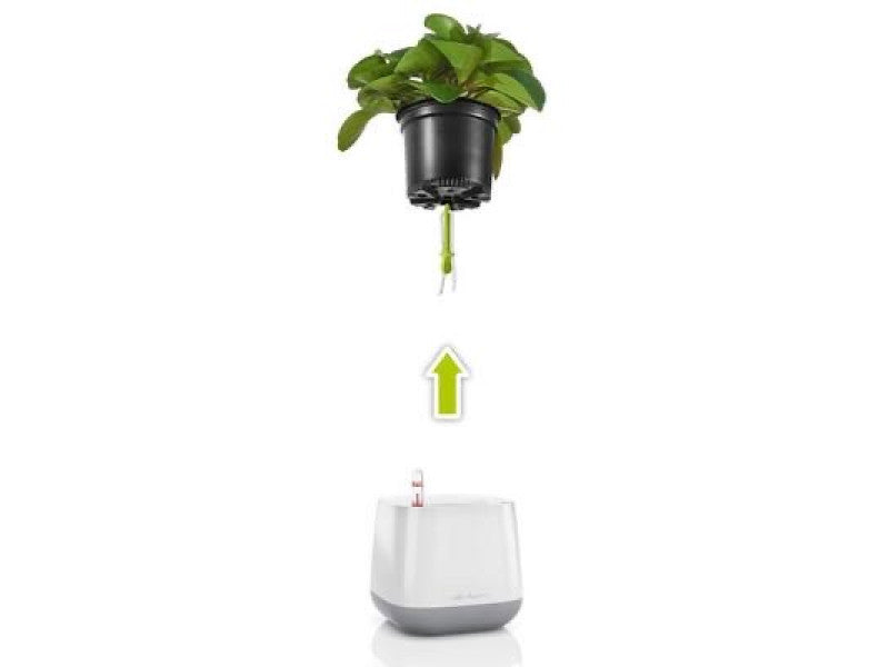 LECHUZA YULA PLANTER WHITE/GREY SEMI-GLOSS