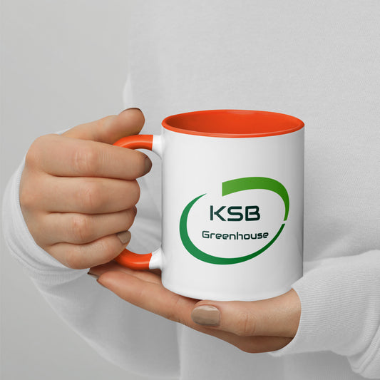 Mug with Color Inside