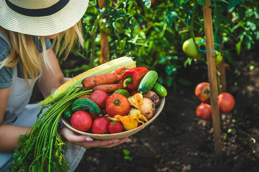 The August Gardening Guide with KSB Greenhouse