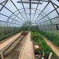 FARMER 7.5 (47.25M² - 7.5M X 6.3M; 24.6FT X 20.7FT)