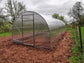 GREENHOUSE SIGMA 24M² 3M X 8M (9.8FT X 26FT)
