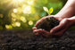 VEGETABLE SOIL and COMPOST MIX bulk bag