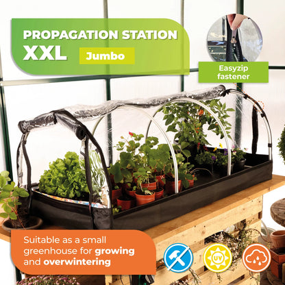 Jumbo Propagator XXL with Heating Mat and Digital Thermostat