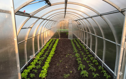 Manual Roof Window for Greenhouse "Sigma"