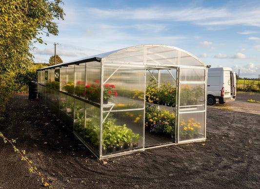 GREENHOUSE PRIMA-3 30 M² (3M X 10M; 9.8FT X 33FT)/ 6mm