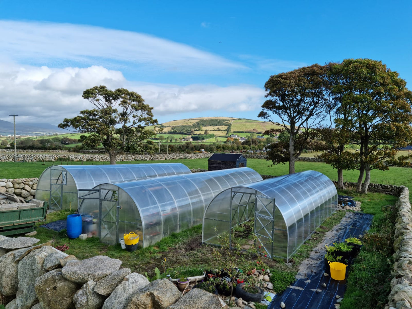 GREENHOUSE STRONG 30 M² (3M X 10M; 9.8FT X 33FT)