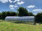 NEW 2021 GREENHOUSE STRONG 36 M² (3M X 12M; 9.8FT X 39.4FT)