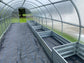 GREENHOUSE SIGMA 36M²