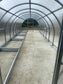 GREENHOUSE SIGMA 30 M² (3M X 10M; 9.8FT X 33FT)