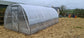 GREENHOUSE OPTIMA, 18M² (3M X 6M; 9.8FT X 19.6FT)