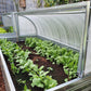 seedbed “Astra” 