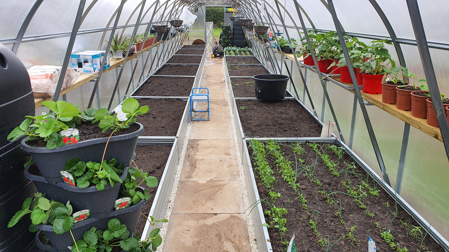 NEW 2021 GREENHOUSE STRONG 30 M² (3M X 10M; 9.8FT X 33FT)