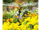 SPRINKLER IRRIGATION SYSTEM WITH TIMER