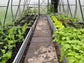 AQUADROP WATER DRIP SYSTEM Water Tank