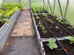 AQUADROP WATER DRIP SYSTEM Water Tank