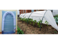 GROW TUNNEL 6M