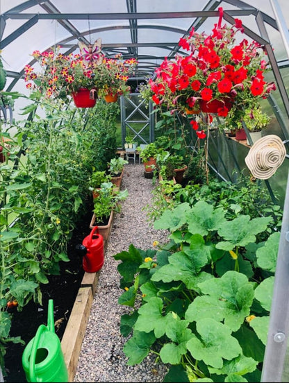 GREENHOUSE STRONG 36 M² (3M X 12M; 9.8FT X 39.4FT)