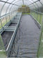 GREENHOUSE SIGMA 18 M² (3M X 6M; 9.8FT X 19.6FT)