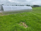 GREENHOUSE SIGMA 36M²