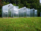GREENHOUSE MINISTAR 6.6M² 2M X 3.3M (6.5FT X 10.8FT)