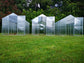 GREENHOUSE MINISTAR 6.6M² 2M X 3.3M (6.5FT X 10.8FT)