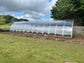 NEW 2021 GREENHOUSE ARROW-3, 36M² (3M X 12M; 9.8FT X 39.4FT)