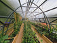FARMER 5 (53M² - 5M X 10.6M; 16.4FT X 34.8FT)