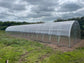 NEW 2021 GREENHOUSE STRONG 36 M² (3M X 12M; 9.8FT X 39.4FT)