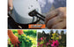 CLABER AQUA-MAGIC IRRIGATION SYSTEM